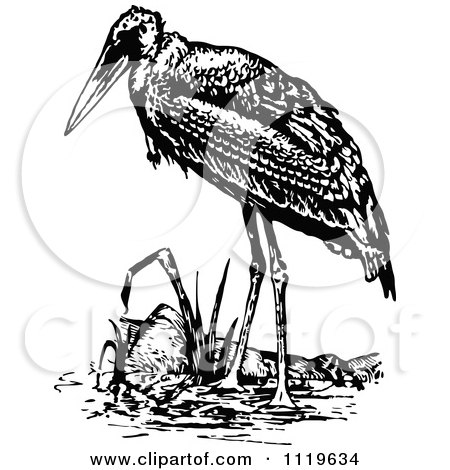 Clipart Of A Retro Vintage Black And White Stork - Royalty Free Vector Illustration by Prawny Vintage