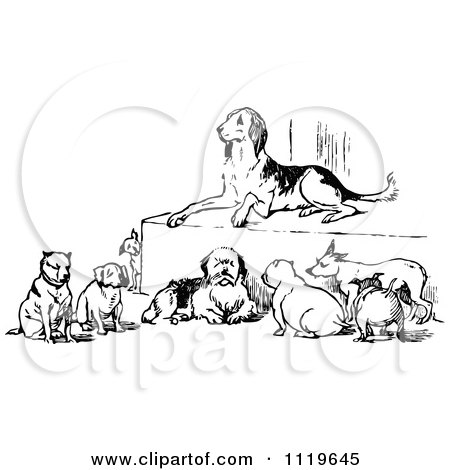 Clipart Of A Retro Vintage Black And White Dogs Resting - Royalty Free Vector Illustration by Prawny Vintage