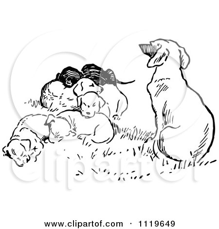 Clipart Of A Retro Vintage Black And White Dog And Puppies - Royalty Free Vector Illustration by Prawny Vintage