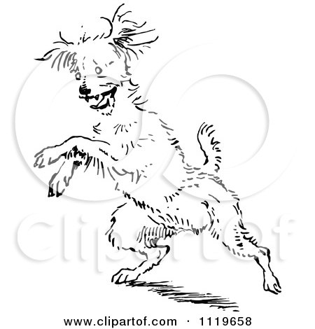 Clipart Of A Retro Vintage Black And White Jumping Dog - Royalty Free Vector Illustration by Prawny Vintage
