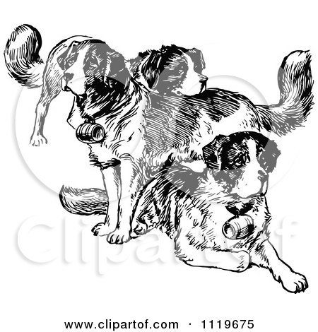 Clipart Of Retro Vintage Black And White St Bernard Dogs - Royalty Free Vector Illustration by Prawny Vintage