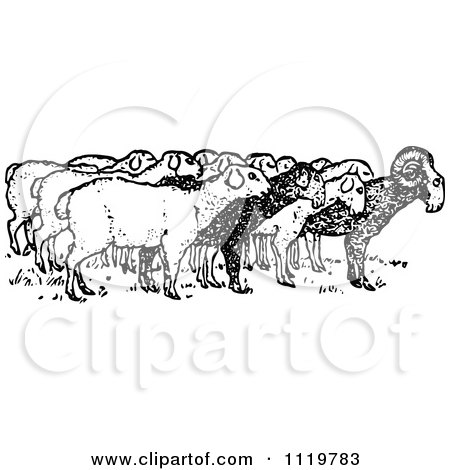 Clipart Of A Retro Vintage Black And White Ram With Sheep - Royalty Free Vector Illustration by Prawny Vintage
