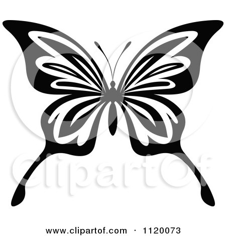 Clipart Of A Black And White Butterfly 18 - Royalty Free Vector Illustration by Vector Tradition SM