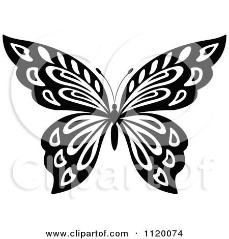 Clipart Of A Black And White Butterfly 17 - Royalty Free Vector Illustration by Vector Tradition SM