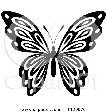 Clipart Of A Black And White Butterfly 15 - Royalty Free Vector Illustration by Vector Tradition SM
