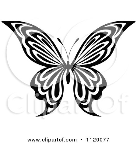 Clipart Of A Black And White Butterfly 14 - Royalty Free Vector Illustration by Vector Tradition SM