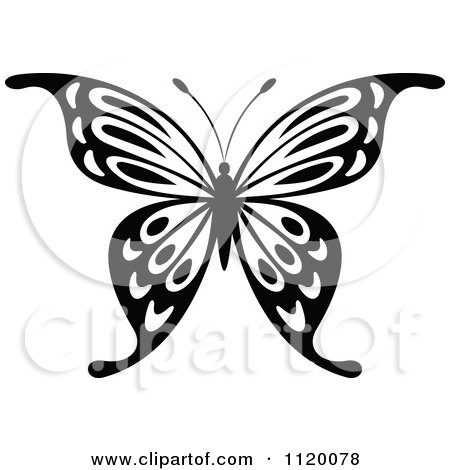 Clipart Of A Black And White Butterfly 13 - Royalty Free Vector Illustration by Vector Tradition SM