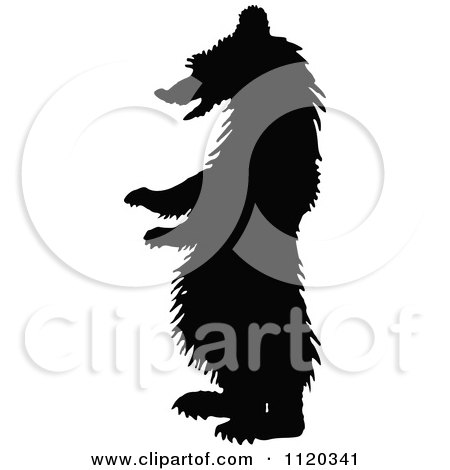 Clipart Of A Silhouetted Standing Grizzly Bear - Royalty Free Vector Illustration by Prawny Vintage
