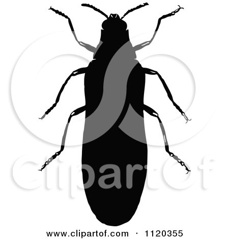 Clipart Of A Retro Vintage Black And White Beetle Silhouette - Royalty Free Vector Illustration by Prawny Vintage