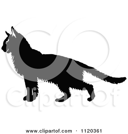Clipart Of A Silhouetted Cat - Royalty Free Vector Illustration by Prawny Vintage
