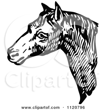 Clipart Of A Retro Vintage Black And White Horse Face 1 - Royalty Free Vector Illustration by Prawny Vintage