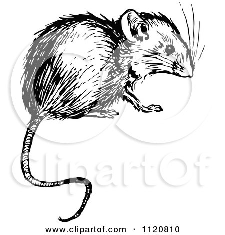 Clipart Of A Retro Vintage Black And White Mouse - Royalty Free Vector Illustration by Prawny Vintage