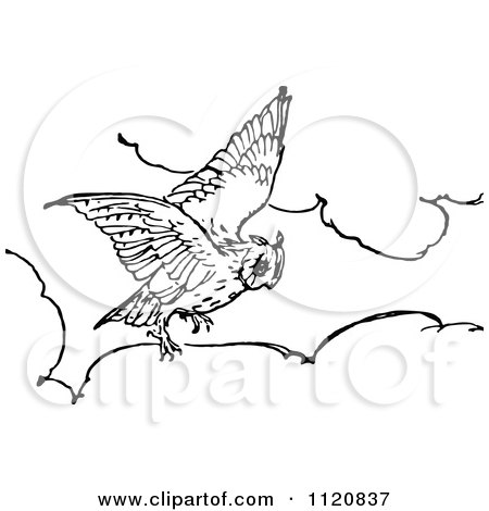 Clipart Of A Retro Vintage Black And White Owl Flying Above Clouds - Royalty Free Vector Illustration by Prawny Vintage
