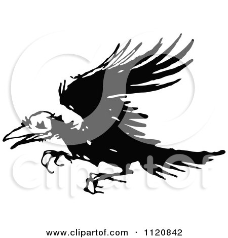 Clipart Of A Retro Vintage Black And White Ragged Raven - Royalty Free Vector Illustration by Prawny Vintage