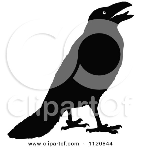 Clipart Of A Retro Vintage Black And White Crow 1 - Royalty Free Vector Illustration by Prawny Vintage