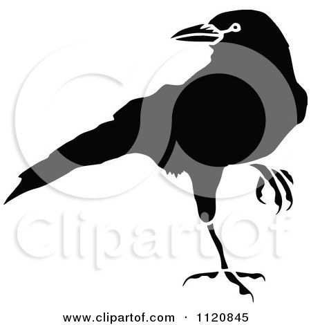 Clipart Of A Retro Vintage Black And White Crow 2 - Royalty Free Vector Illustration by Prawny Vintage