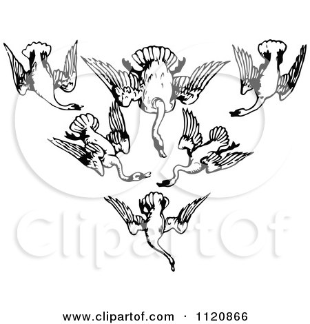 Clipart Of A Retro Vintage Black And White Flock Of Swans In A V - Royalty Free Vector Illustration by Prawny Vintage