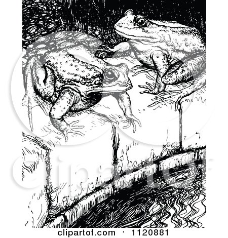 Clipart Of Retro Vintage Black And White Frogs On A Pond Ledge - Royalty Free Vector Illustration by Prawny Vintage