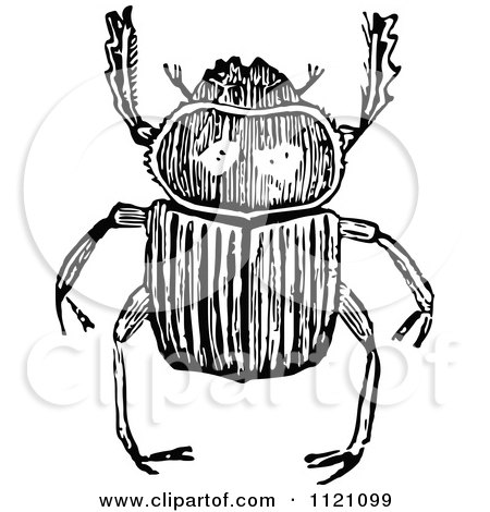 Clipart Of A Retro Vintage Black And White Beetle - Royalty Free Vector Illustration by Prawny Vintage