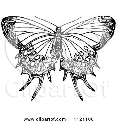Clipart Of A Retro Vintage Black And White Butterfly - Royalty Free Vector Illustration by Prawny Vintage