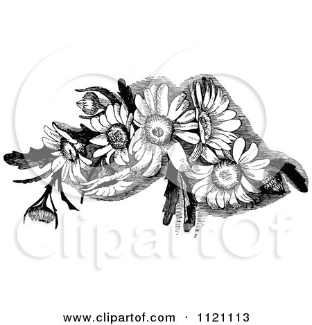Clipart Of A Retro Vintage Black And White Daisy Flowers - Royalty Free Vector Illustration by Prawny Vintage
