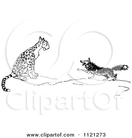 Clipart Of A Retro Vintage Black And White Fox And Leopard - Royalty Free Vector Illustration by Prawny Vintage