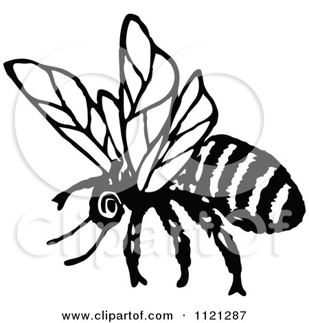 Clipart Of A Retro Vintage Black And White Flying Bee 1 - Royalty Free Vector Illustration by Prawny Vintage