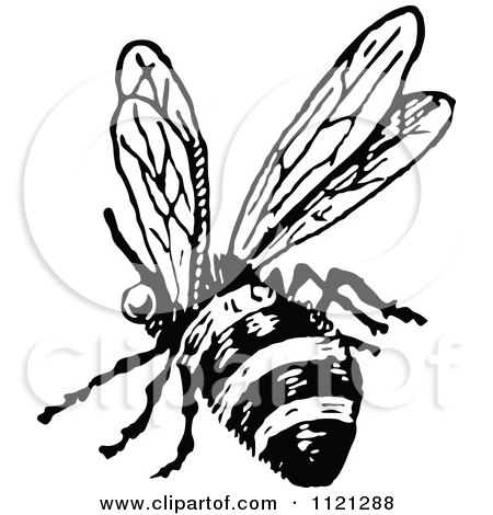 Clipart Of A Retro Vintage Black And White Flying Bee 2 - Royalty Free Vector Illustration by Prawny Vintage