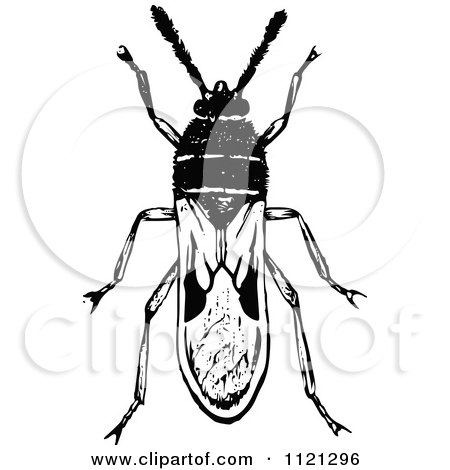 Clipart Of A Retro Vintage Black And White Chinch Bug - Royalty Free Vector Illustration by Prawny Vintage