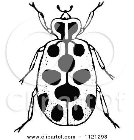 Clipart Of A Retro Vintage Black And White Spotted Beetle - Royalty Free Vector Illustration by Prawny Vintage