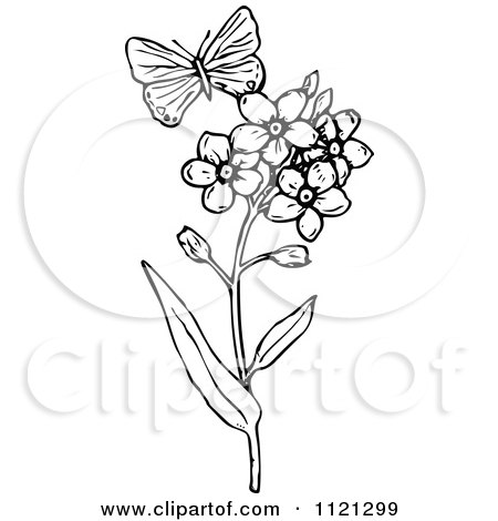 Clipart Of A Retro Vintage Black And White Butterfly And Flowers - Royalty Free Vector Illustration by Prawny Vintage