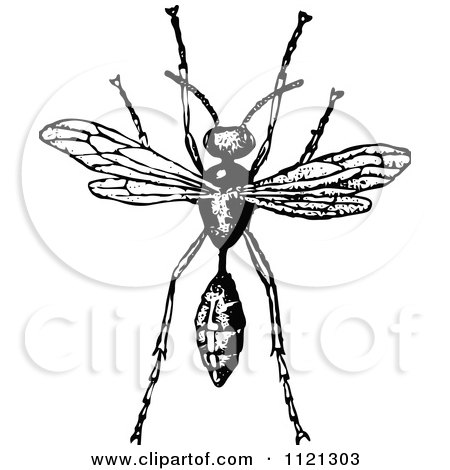 Clipart Of A Retro Vintage Black And White Wasp - Royalty Free Vector Illustration by Prawny Vintage
