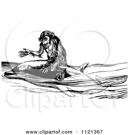 Clipart Of A Retro Vintage Black And White Monkey Riding A Dolphin - Royalty Free Vector Illustration by Prawny Vintage