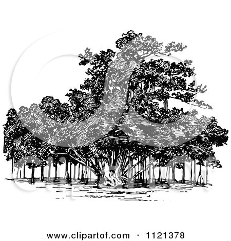 Clipart Of A Retro Vintage Black And White Banyan Tree - Royalty Free Vector Illustration by Prawny Vintage