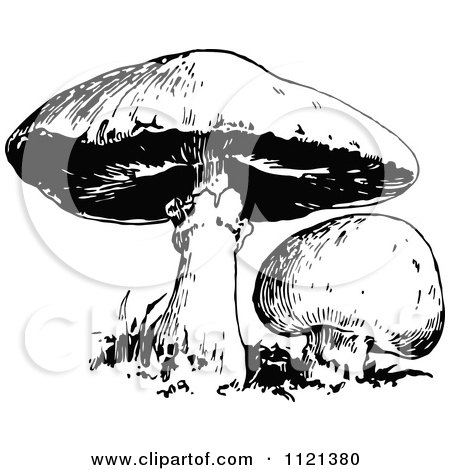 Clipart Of Retro Vintage Black And White Mushrooms - Royalty Free Vector Illustration by Prawny Vintage