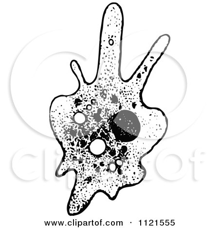 Clipart Of A Retro Vintage Black And White Amoeba - Royalty Free Vector Illustration by Prawny Vintage
