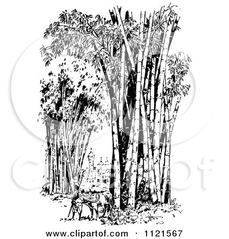 Clipart Of A Retro Vintage Black And White Farmer With An Ox In A Bamboo Forest - Royalty Free Vector Illustration by Prawny Vintage