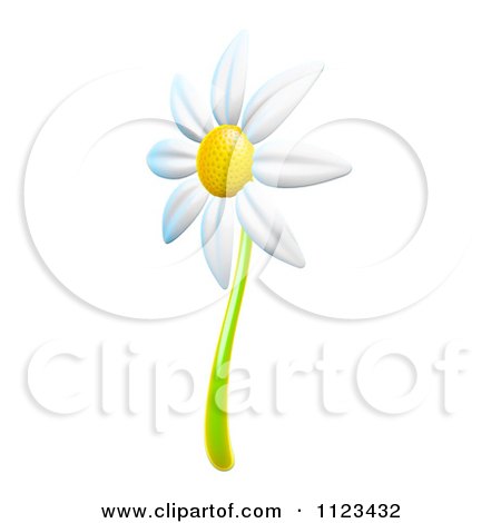 Clipart Of A 3d White Daisy Flower - Royalty Free CGI Illustration by Leo Blanchette