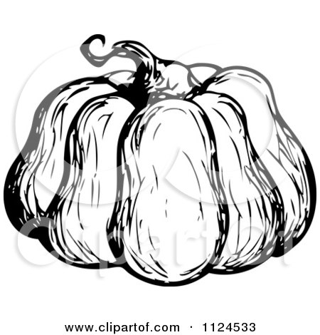 Clipart Of A Sketched Black And White Pumpkin - Royalty Free Vector Illustration by visekart