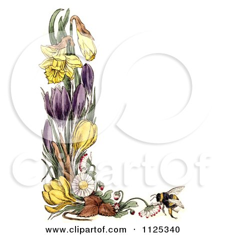 Clipart Of A Border Of Daffodil Crocus Daisy Flowers And A Bee - Royalty Free Illustration by Prawny Vintage