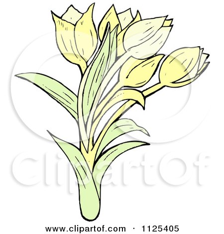Cartoon Of Tulip Flowers 1 - Royalty Free Vector Clipart by lineartestpilot
