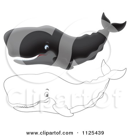 Cartoon Of Happy Outlined And Black Sperm Whales - Royalty Free Clipart by Alex Bannykh