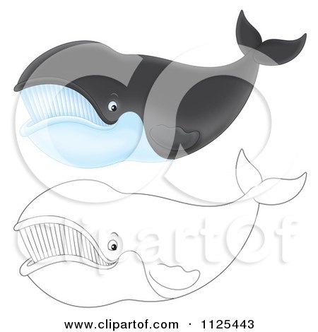 Cartoon Of Outlined And Colored Happy Right Whales - Royalty Free Clipart by Alex Bannykh