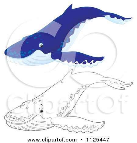 Cartoon Of Outlined And Blue Happy Cute Humpback Whales - Royalty Free Clipart by Alex Bannykh