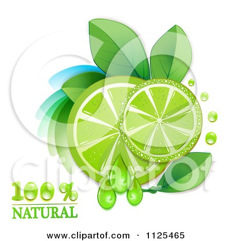 Clipart Of Natural Lime Slices And Text On White 2 - Royalty Free Vector Illustration by merlinul