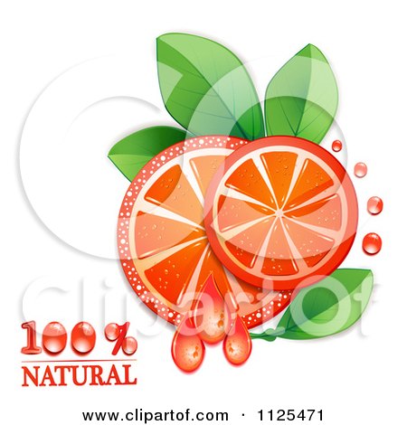 Clipart Of Natural Blood Orange Slices And Text On White 2 - Royalty Free Vector Illustration by merlinul