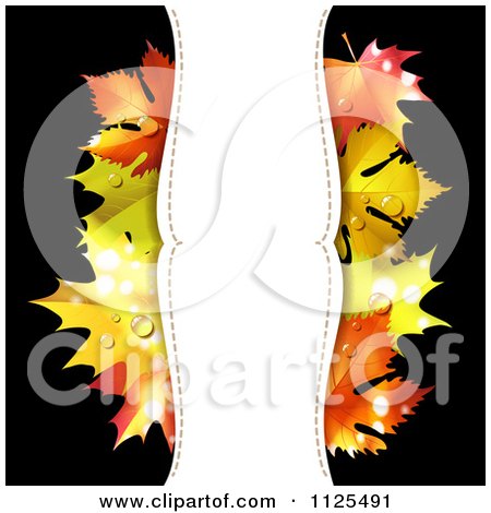 Clipart Of A Background With Autumn Maple Leaves Dew And Vertical Copyspace On Black - Royalty Free Vector Illustration by merlinul