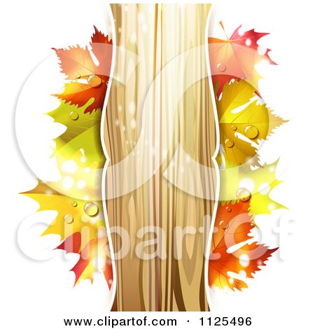 Clipart Of A Background With Autumn Maple Leaves Dew And Vertical Wood Copyspace On White - Royalty Free Vector Illustration by merlinul
