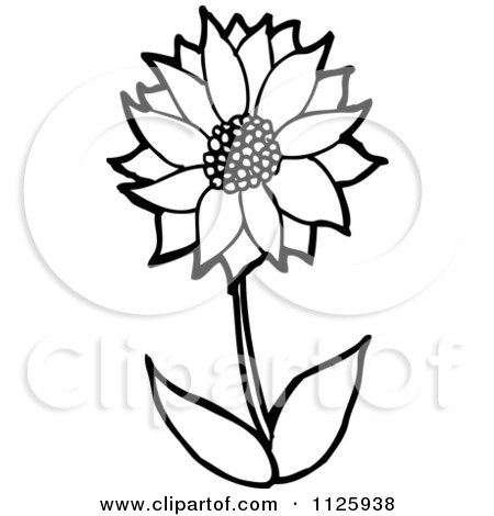 Cartoon Of An Outlined Sunflower - Royalty Free Vector Clipart by lineartestpilot