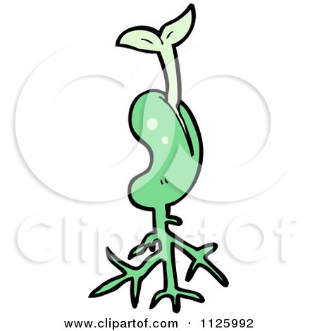 Cartoon Of A Sprouting Green Plant Seed 3 - Royalty Free Vector Clipart by lineartestpilot